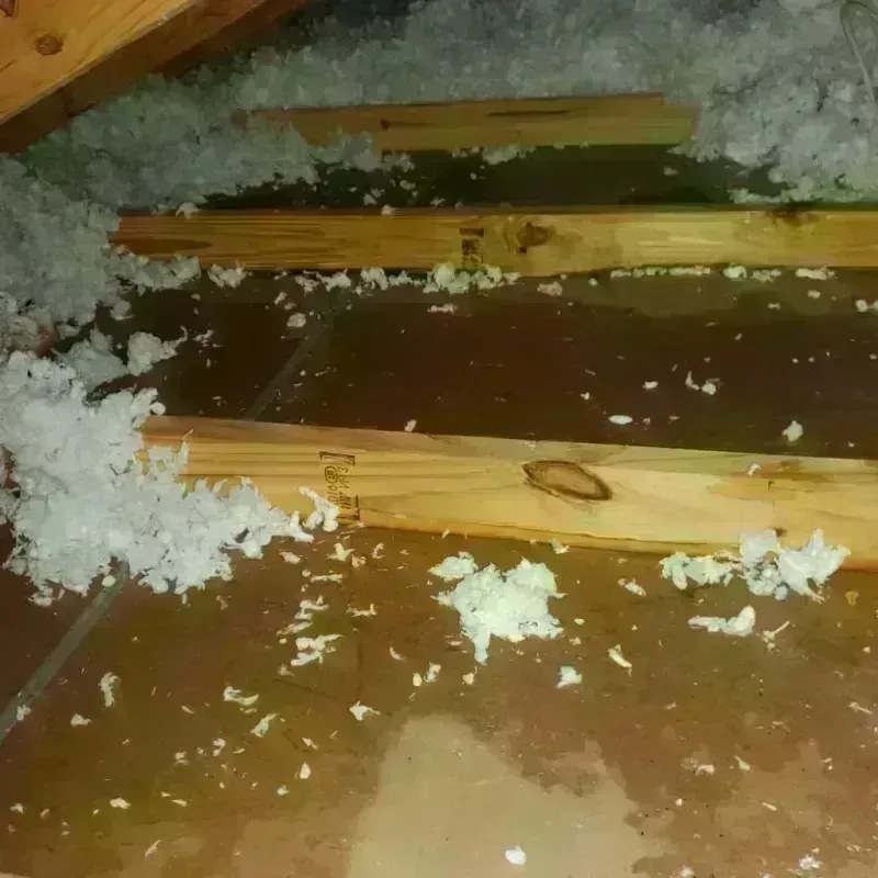 Attic Water Damage in Winchester, IL