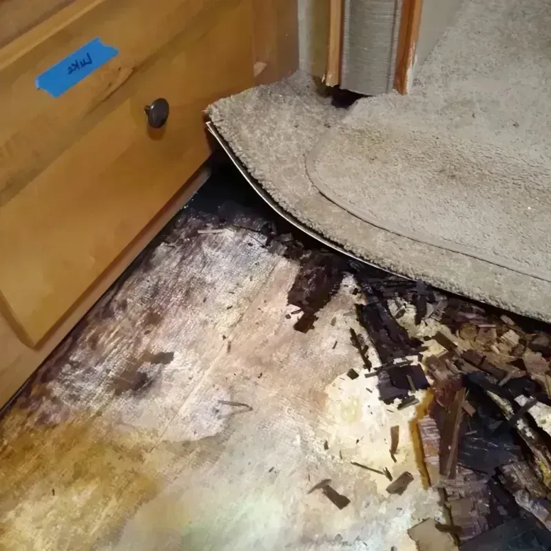 Wood Floor Water Damage in Winchester, IL